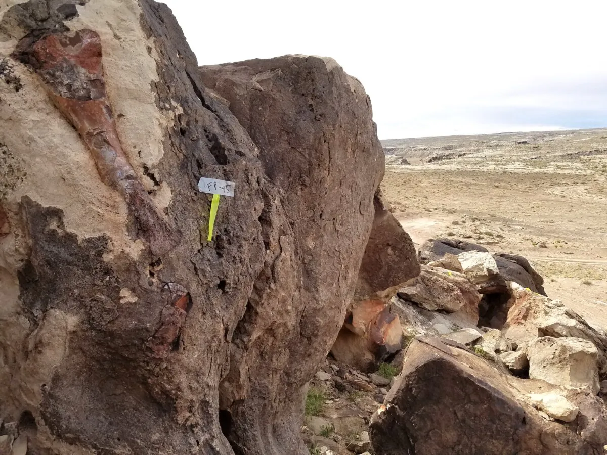A marked dinosaur bone discovery at Fossil Point in Green River, Utah. (Courtesy of Utah Geological Survey)