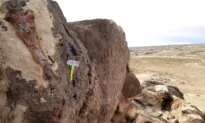 Dinosaur Bone Poaching a Multimillion Dollar Problem in Utah
