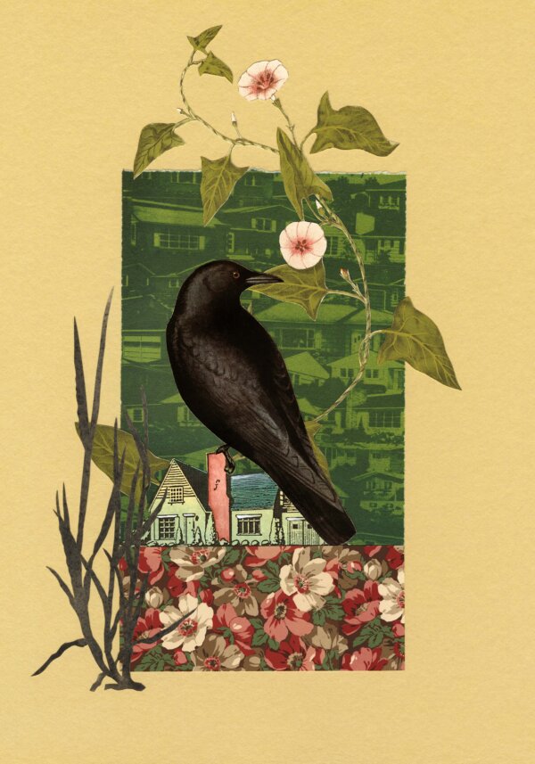 “The Comfort of Crows: A Backyard Year” by Margaret Renkl