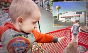Family Takes Adorable Pet Goose to Store, Riding in Shopping Cart: ‘She Was Really Well-Behaved’