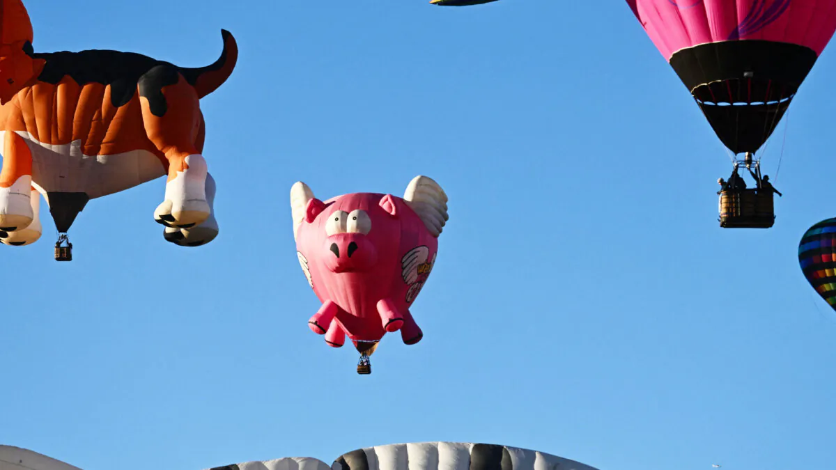 The Ham-let flying pig hot air balloon takes flight at sunrise during the Albuquerque International Balloon Fiesta in Albuquerque, N. M., on Oct. 13, 2023. (Patrick T. Fallon/AFP via Getty Images)