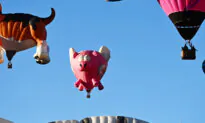 When PIGS Fly: Europe’s Basket Cases Recover, While US Drowns in Debt