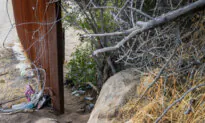 Agents Put on High Alert After IEDs Found Near US–Mexico Border: Report