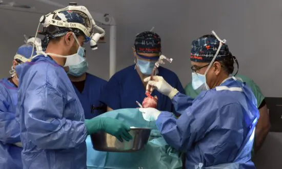 2nd Transplant Recipient of Genetically Modified Pig Heart Dies