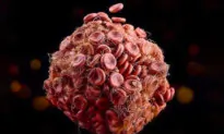 New Research Explains Why Some People Develop Fatal Blood Clots After COVID Vaccination