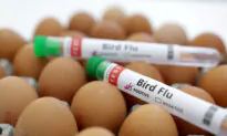 Influenza Vaccine Pushed After Bird Flu Detected in Victoria