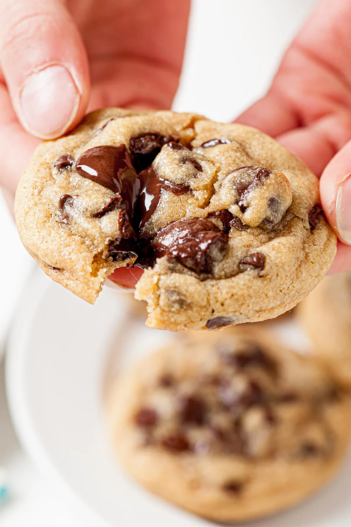 Thick, chocolatey, and supremely chewy, they’re unbelievably addicting and worth every bite! (Courtesy of Amy Dong)