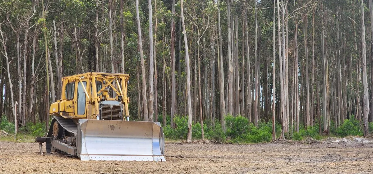 Machinery sits in front of a regrown plantation forest waiting to be cleared for new housing development in Albany, Western Australia, on Nov. 3, 2023. (Susan Mortimer/The Epoch Times)