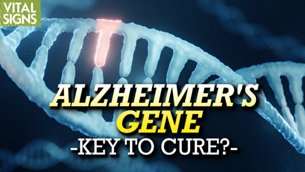 'Alzheimer's Gene' Heightens Alzheimer's Risk but the Plasmalogen Nutrient Defends Against It—Key to Cure? (Part 1)