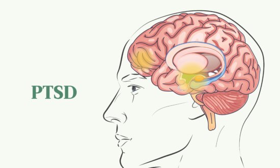 The Essential Guide to PTSD: Symptoms, Causes, Treatments, and Natural Approaches