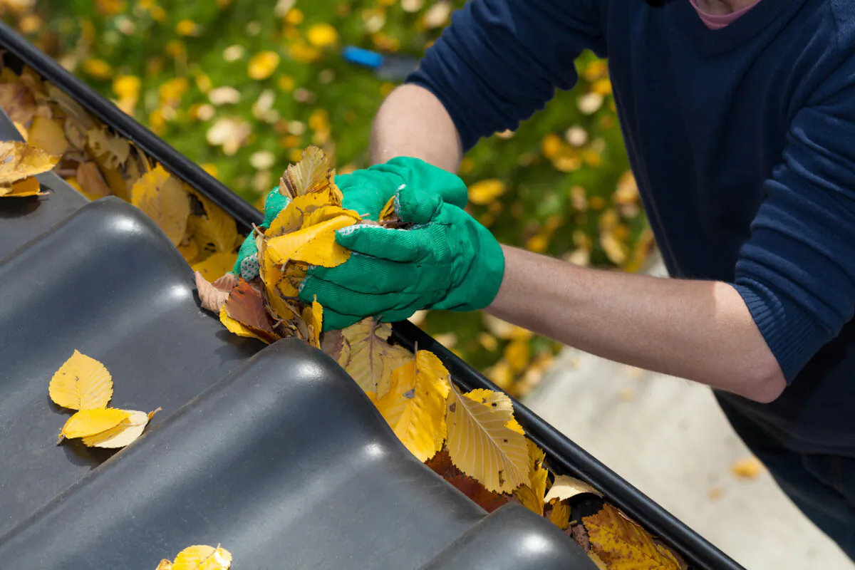 Gutter cleaning is one of the most crucial cleaning tasks you can do for your home. (Dreamstime/TNS)