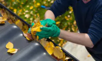 Ask Angi: How Can I Make a Clean Sweep This Holiday Season?