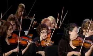 Schubert: Symphony No. 5