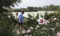 Along a Path Less Traveled at the Chicago Botanic Garden, Plants Are Being Evaluated on Beauty and Brawn