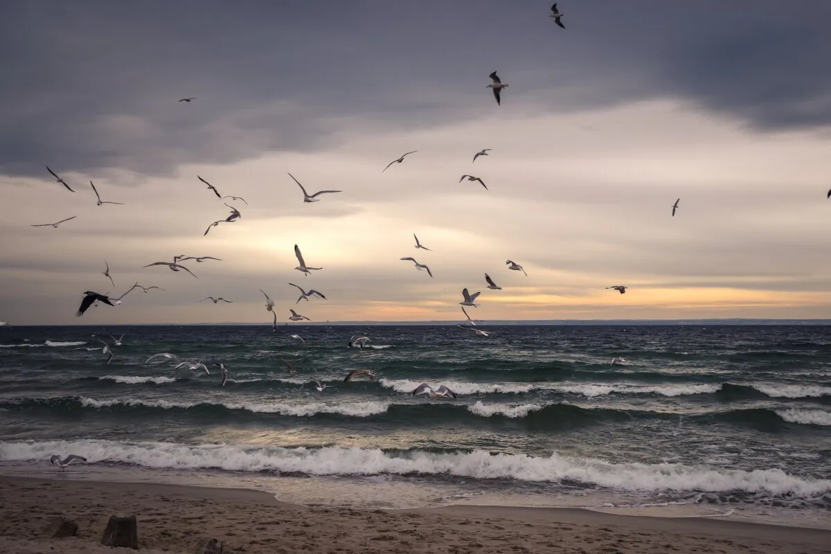 A beach during winter is no less charming. (natureman30/Shutterstock)