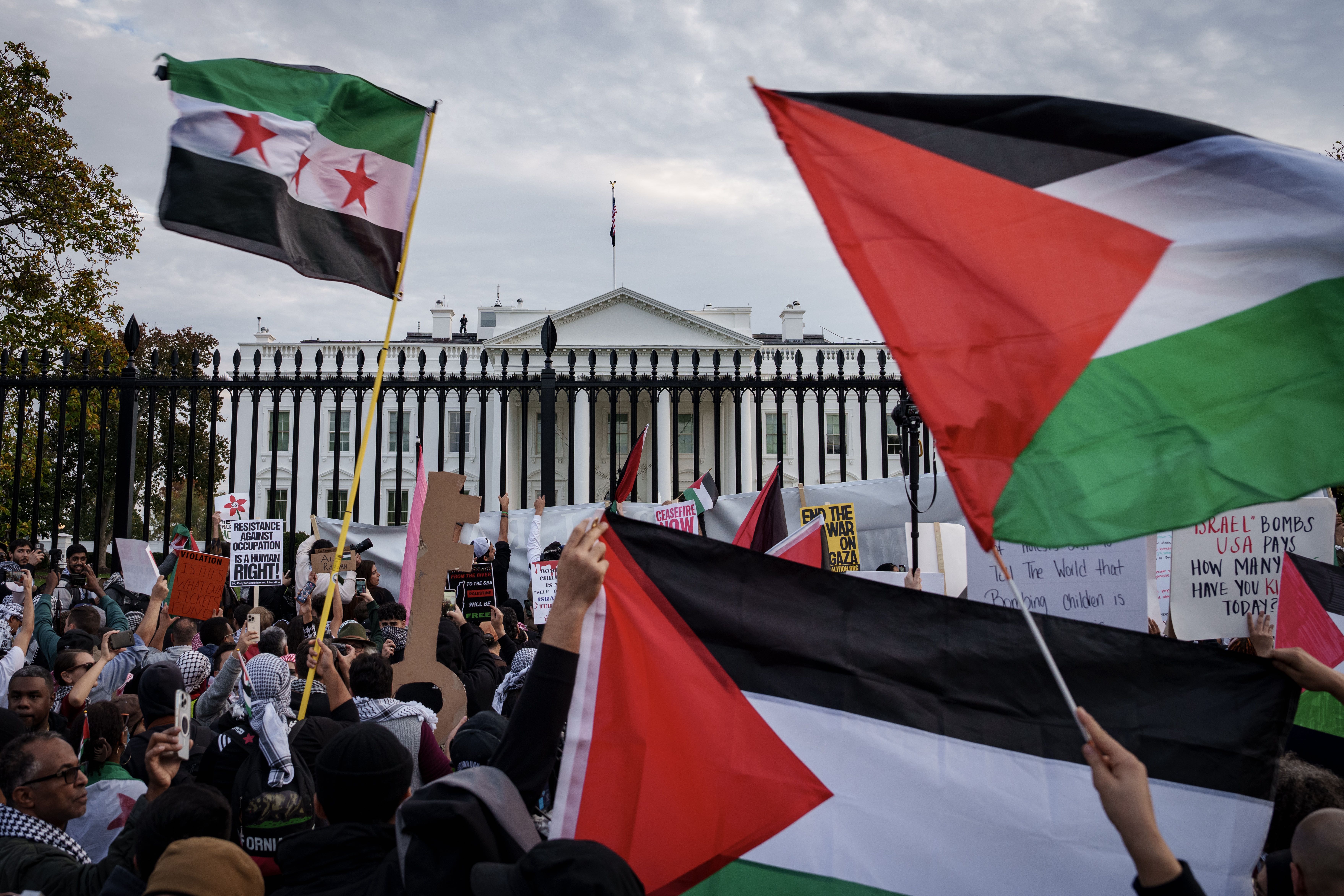 Protesters outside White House demand Gaza ceasefire.