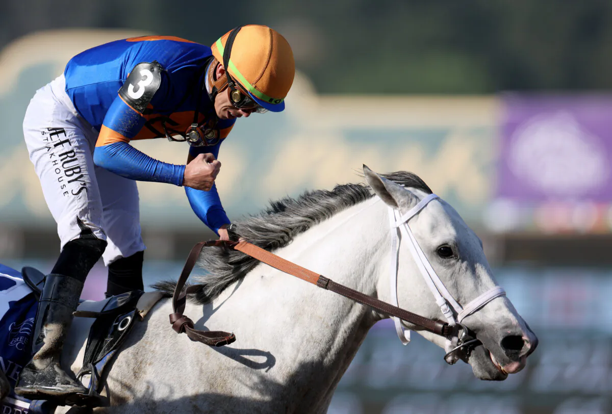 Jockey Irad Ortiz Jr. celebrates riding White Abarrio to victory during the Breeders' Cup Classic (Grade 1) at Santa Anita Park in Arcadia, Calif., on Nov. 4, 2023. (Harry How/Getty Images)