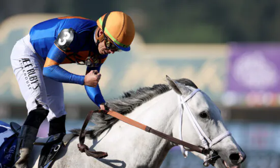 White Abarrio Wins Breeders’ Cup Classic at Santa Anita