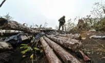 Russia, Ukraine Give Conflicting Zaporizhzhia Frontline Accounts