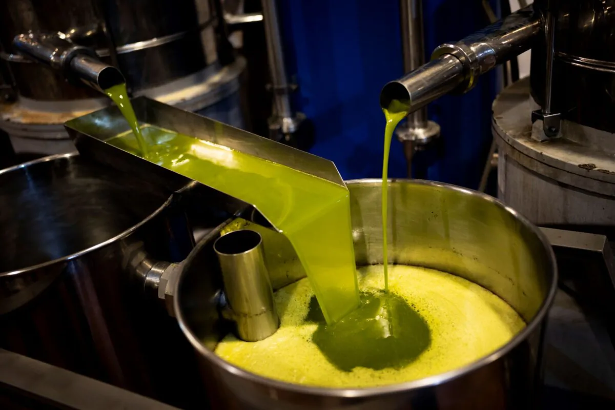 A tank is filled with olive oil at the "La Betica Aceitera" oil mill in the southern town of Quesada, a rural community in the heartland of Spain's olive country, on Oct. 27, 2022. (Bernat Armangue/AP Photo)