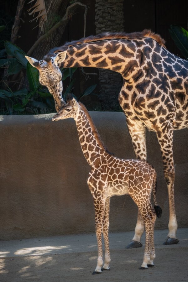 Epoch Times Photo