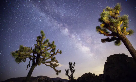 7 Must-See Spots in Southern California’s Deserts