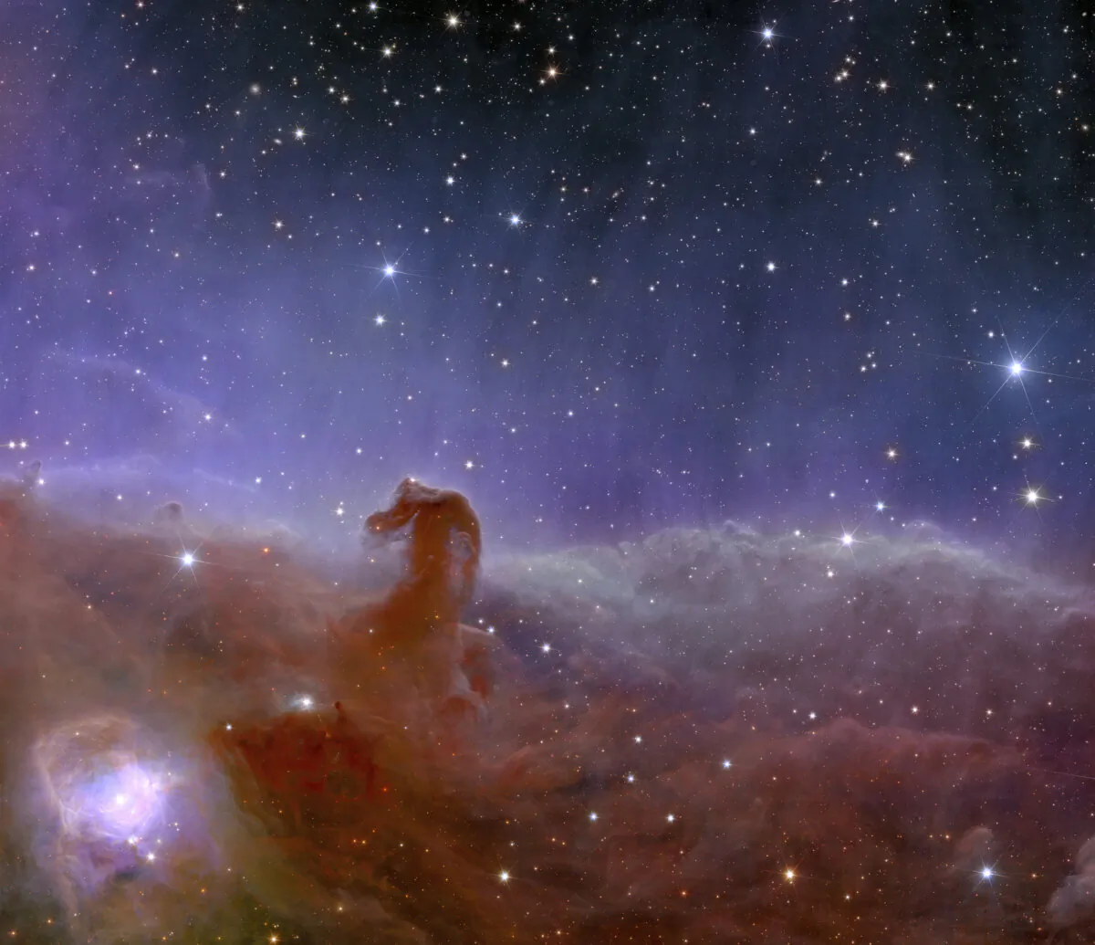 Euclid’s panoramic view of the Horsehead Nebula. (European Space Agency via AP)