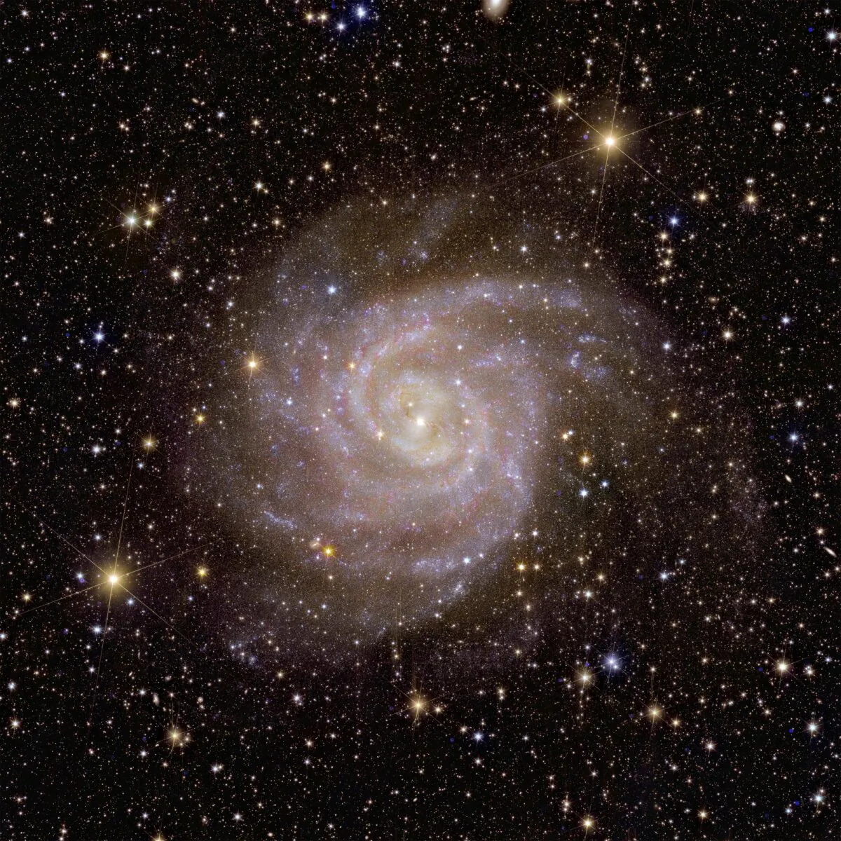 Euclid’s view of the galaxy called IC 342. (European Space Agency via AP)