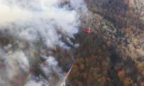 Virginia’s Governor Declares State of Emergency as Firefighters Battle Wildfires