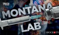 Pre-COVID Documents Show That Fauci Lab Experimented On Wuhan Virus as Fauci Pushed for mRNA Vaccine | Truth Over News