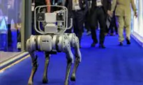 Bipartisan Lawmakers Call for Federal Investigations Into Chinese Robotics Company