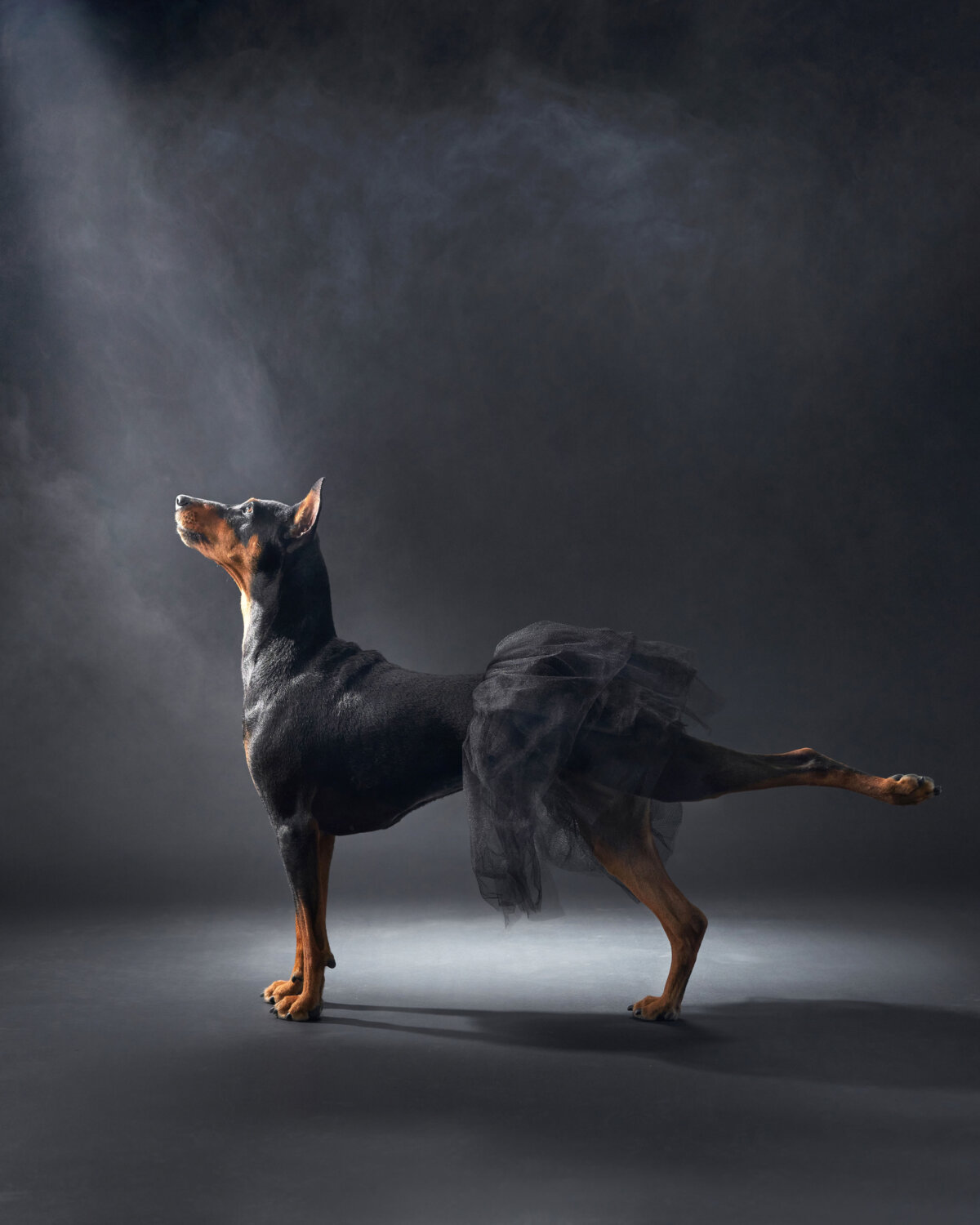 "Ballerina," by Anna Averianova.