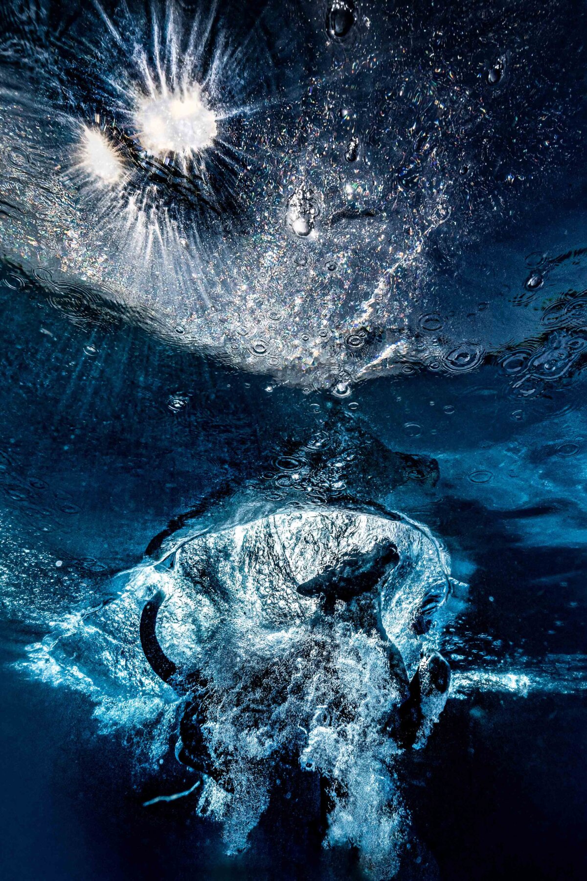 "Moment of Entry," by Roberta Holden.