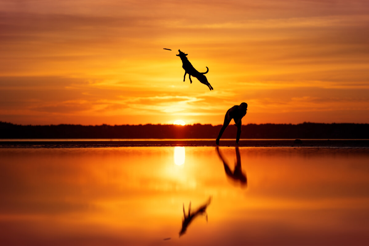 "Catch It," by Anne-Laurie Léger.