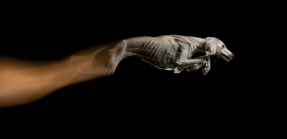 "Stop your motion," by photographer Jacqueline Rüdiger.