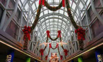 Expect Holiday Travel Crowds: Nearly Half of Americans Planning a Trip