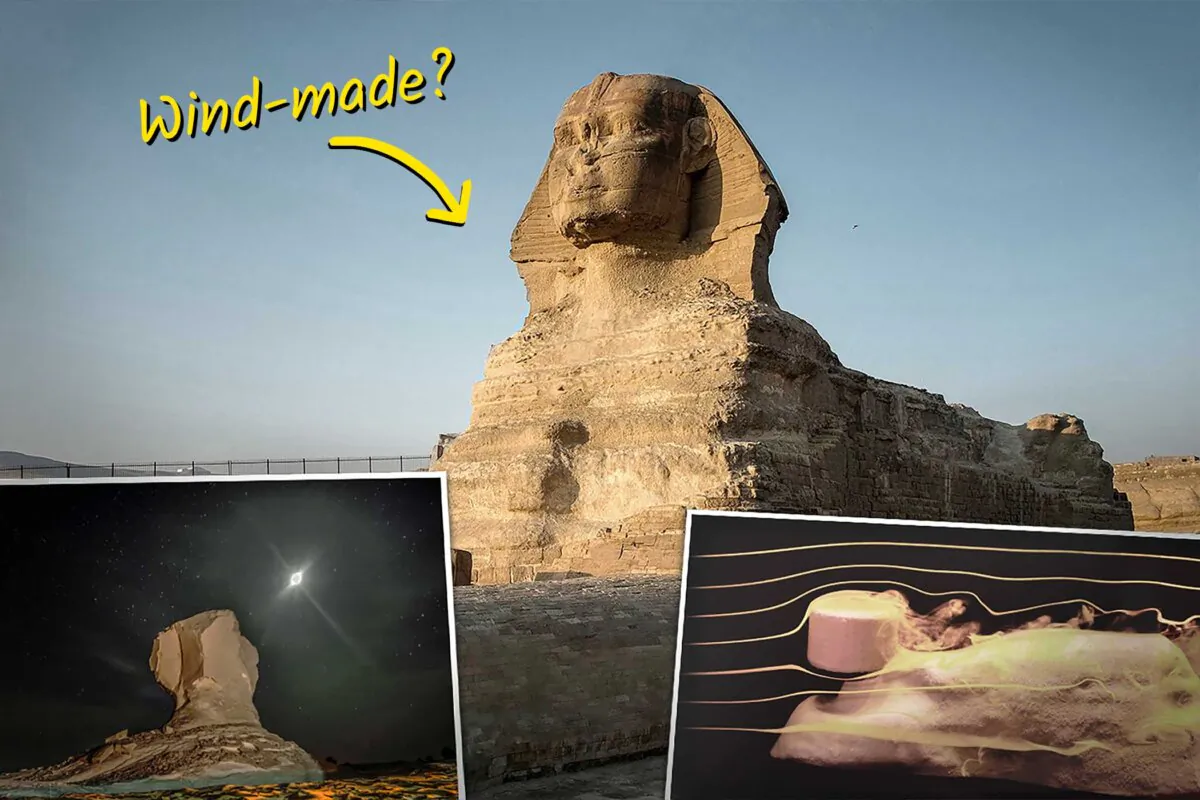 (Background and left inset: KHALED DESOUKI/Getty Images; Right inset: Courtesy of NYU's Applied Mathematics Laboratory)