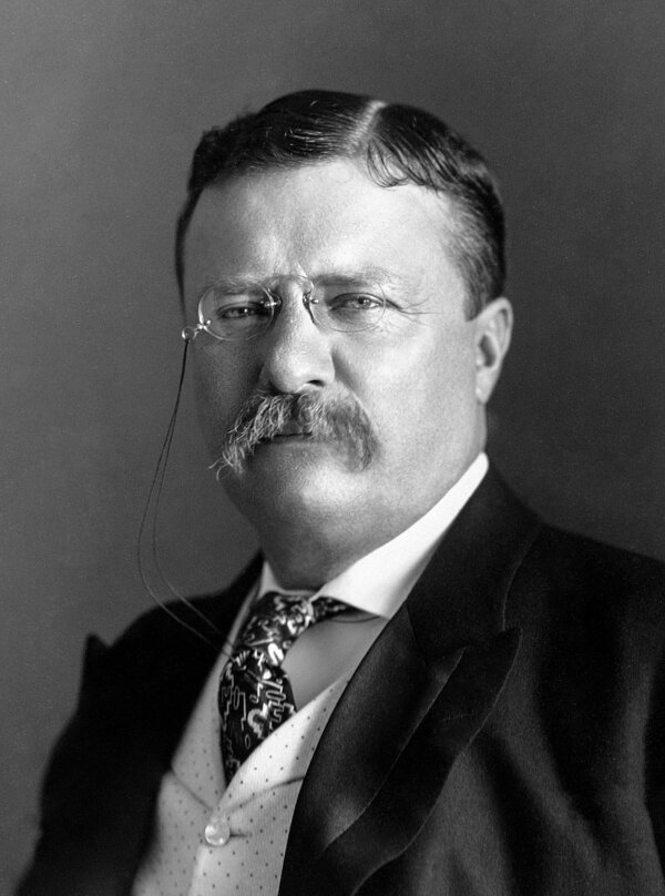 “The Approaching Storm: Roosevelt, Wilson, Addams, and Their Clash Over America’s Future,” by Neil Lanctot