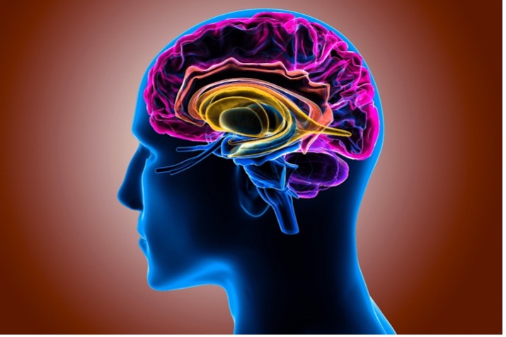 Online Media and Our Brains: How Tech Can Change Us