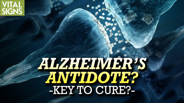 Is Alzheimer's Linked to Plasmalogen Loss? Can Restoration Help?