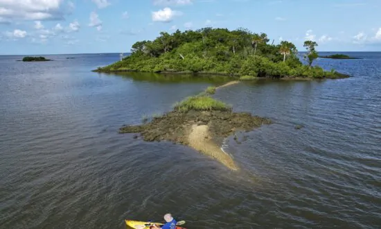The Great Grift: COVID-19 Aid Thieves Bought Fancy Cars, a Pokemon Card—Even a Private Island
