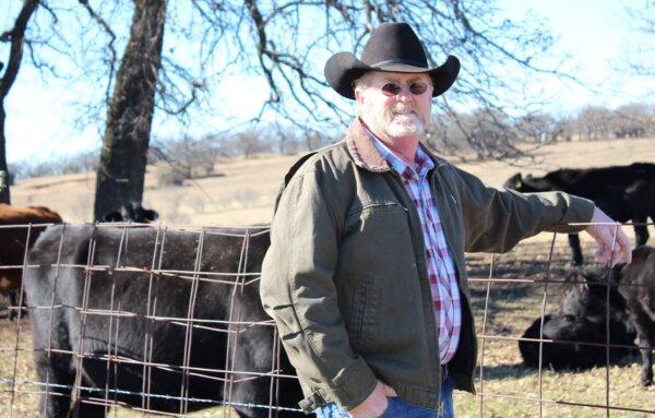 cattle rancher