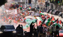 Who Are the Pro-Terrorist Activists?