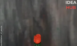 Unique Pencil Carving