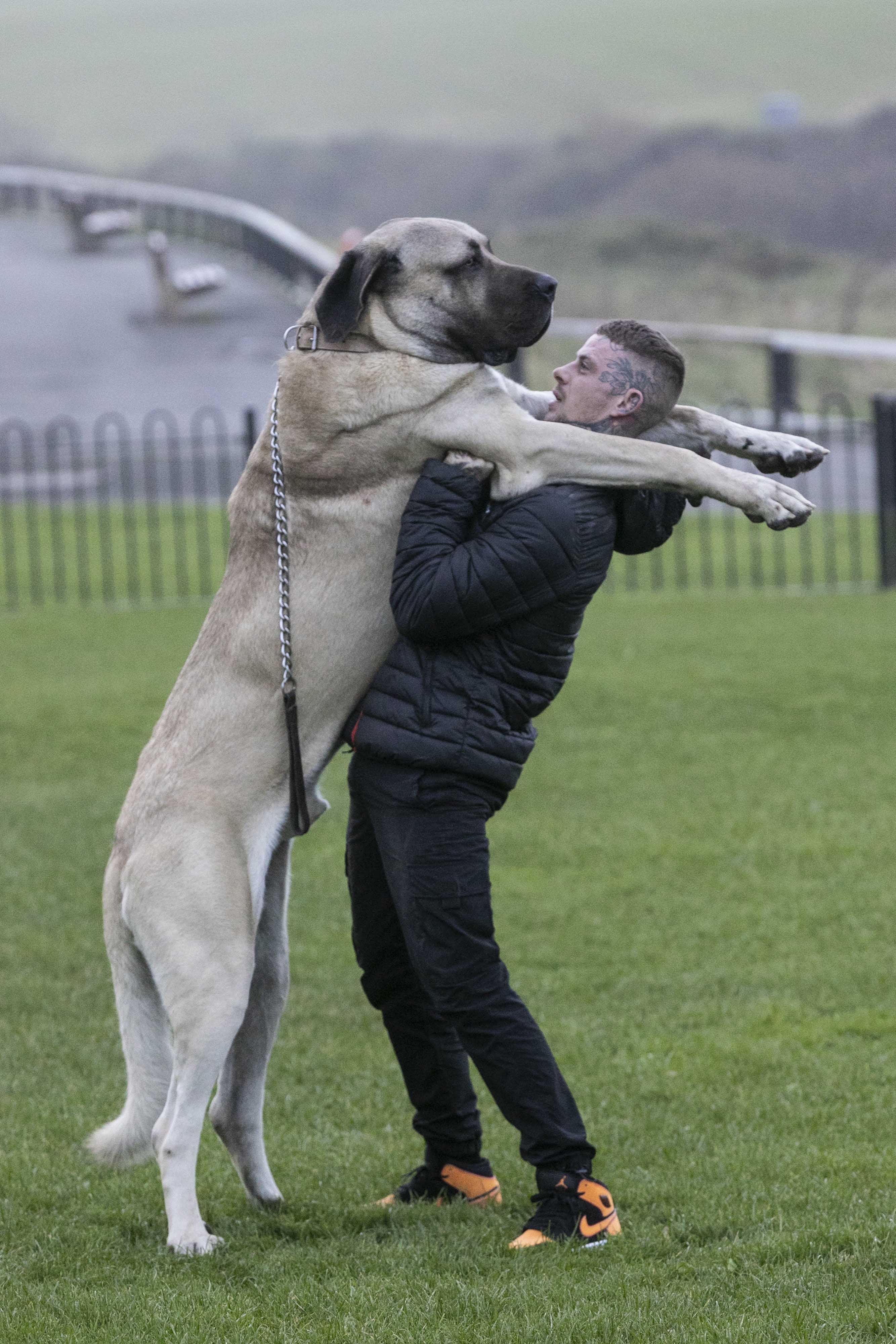Epoch Times Photo