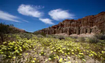 Campsite Reservations at California State Parks Can Be Hard to Get. Will a New Law Help?