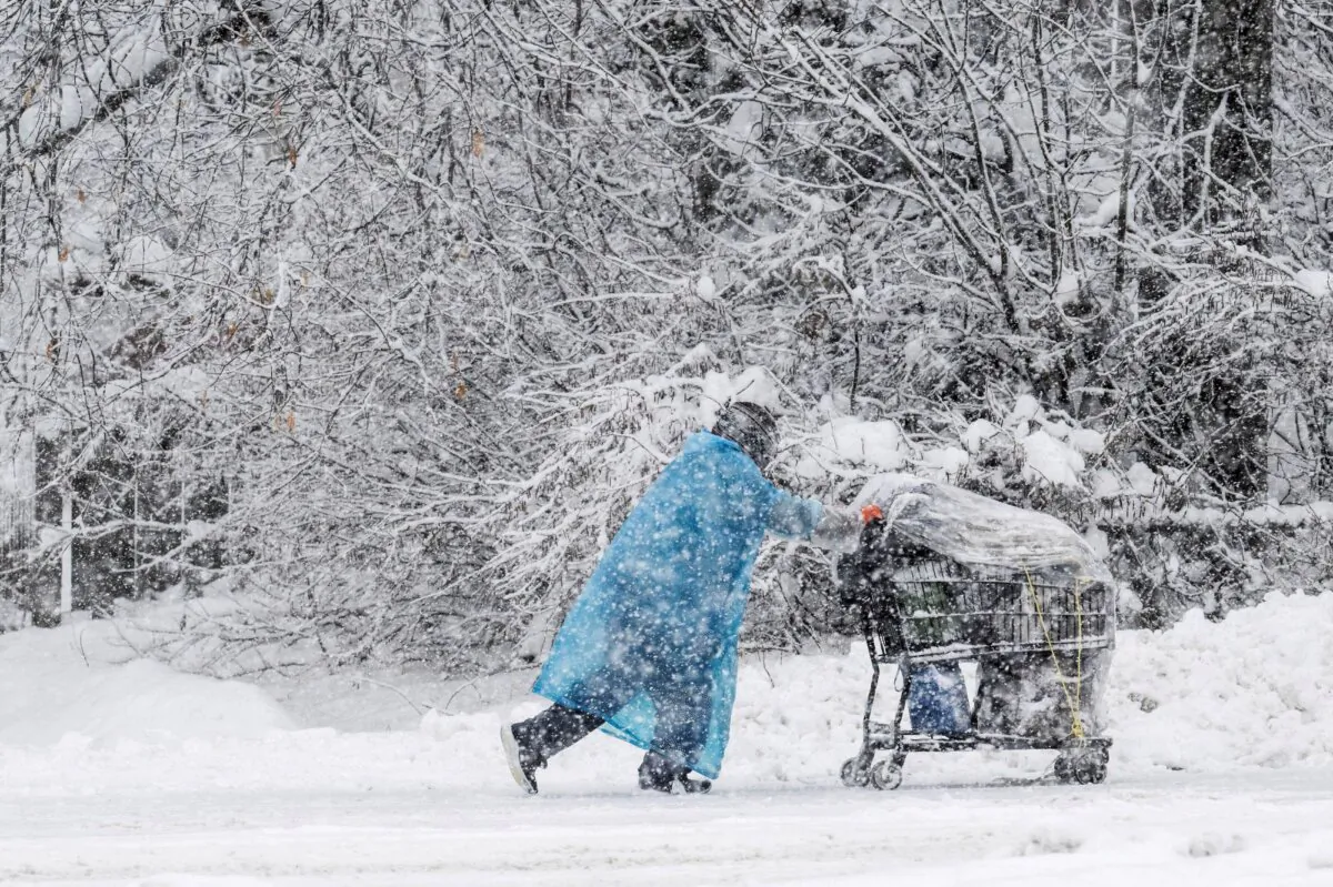 A pedestrian pushes a shopping cart on Cordova Street during a heavy snowfall, in Anchorage, Alaska on Nov. 9, 2023. (Marc Lester/Anchorage Daily News via AP)