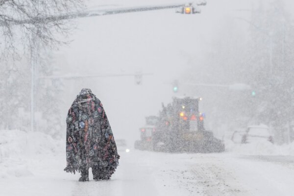 id5527579-winter.