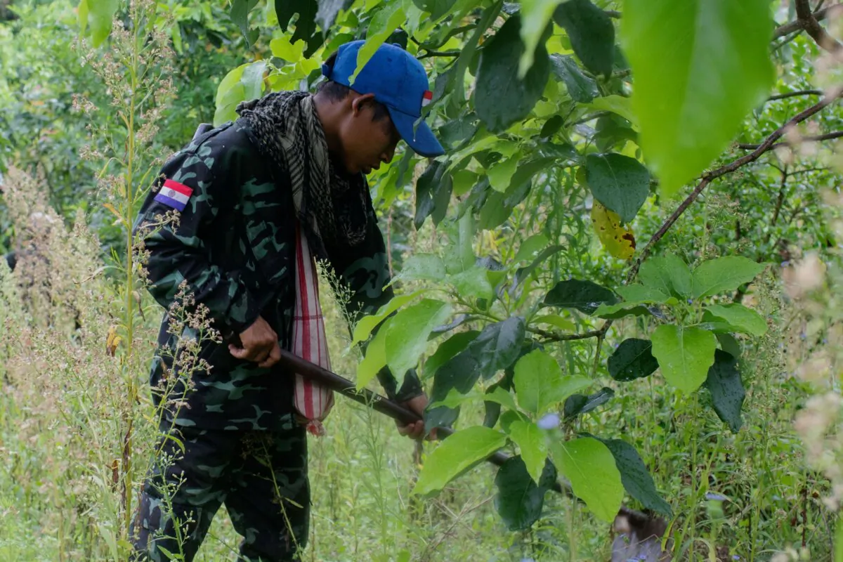 A member of the anti-junta Karenni Nationalities Defence Force (KNDF) searches in a file photo. (STR/AFP via Getty Images)