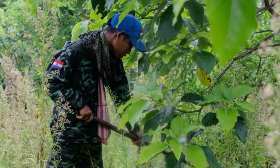 Military Jet Crashes in Eastern Burma; Ethnic Resistance Groups Claim They Shot It Down